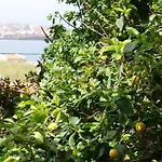 Sunny Family In Chania Close To The Sea * Chania (Crete)
